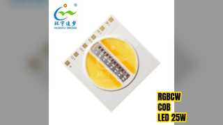 RGBCW COB LED 25W Tunable White High Power